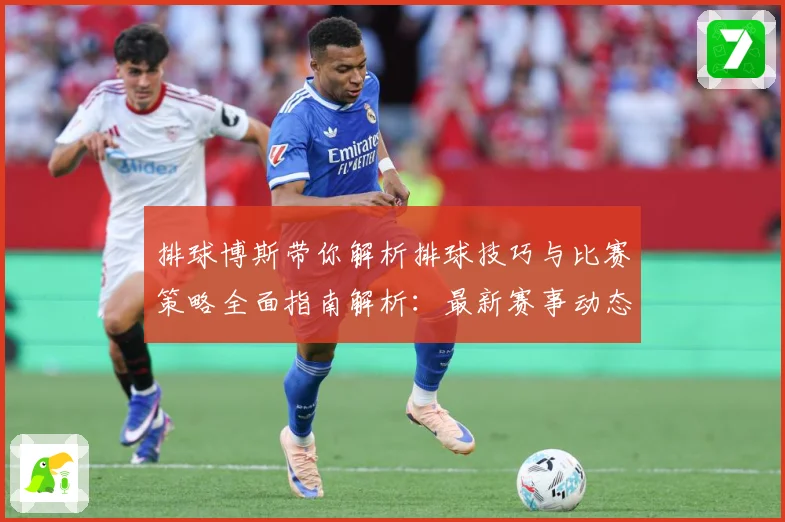 排球博斯带你解析排球技巧与比赛策略全面指南解析：最新赛事动态与深度分析